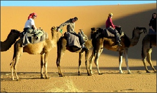 camel trek in Merzouga,Sahara camel trips in Erg Chebbi,Camel trekking Merzouga desert