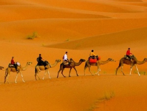 MERZOUGA CAMEL TREK AND 1 NIGHT IN SAHARA CAMP