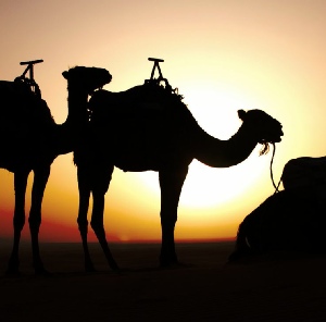 private 2 days tour from Fes to Merzouga and back