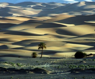 Photography Morocco desert,Merzouga trekking photo gallery