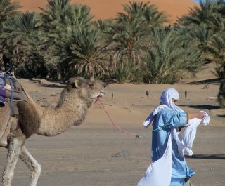 Photography Morocco desert,Merzouga trekking photo gallery