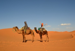 Desert trekking in Merzouga,Sahara hiking,Erg Chebbi trekking walking tours