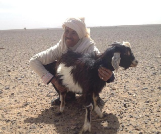 Photography Morocco desert,Merzouga trekking photo gallery