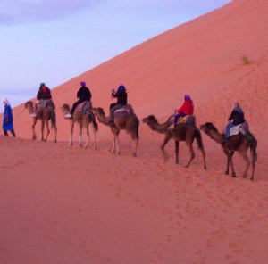 MERZOUGA CAMEL TREK AND 1 NIGHT IN SAHARA CAMP